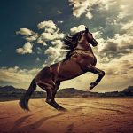 24-02-17-brown-horse-running-wallpapers44