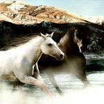 24-02-17-brown-horse-running-wallpapers49