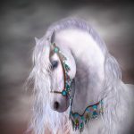 24-02-17-horse-wallpapers561