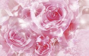 24-02-17-roses-wallpapers108