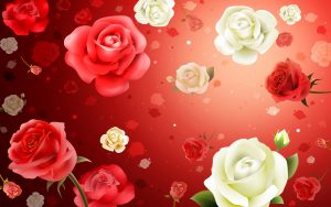 24-02-17-roses-wallpapers85