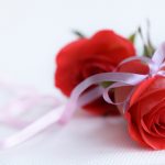 24-02-17-roses-wallpapers86