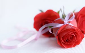 24-02-17-roses-wallpapers86
