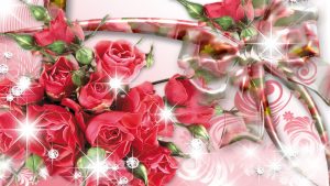 24-02-17-roses-wallpapers98