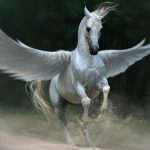 26-02-17-pegasus-horse10857