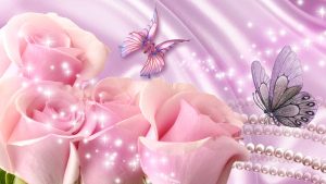 26-02-17-pink-roses-wallpapers1594