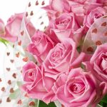 26-02-17-pink-roses-wallpapers1597
