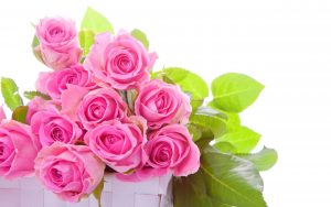 26-02-17-pink-roses-wallpapers1598