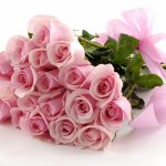 26-02-17-pink-roses-wallpapers1604
