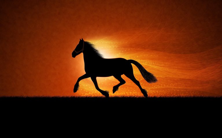 27-02-17-horse-running-sunset15397 - Wall Paper