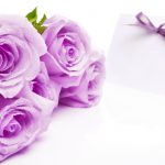 27-02-17-lilac-roses10120