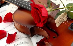 27-02-17-music-violin-red-rose16096