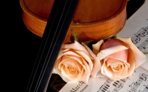 27-02-17-violin-roses15856