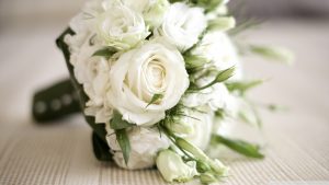 27-02-17-white-rose-flowers10140