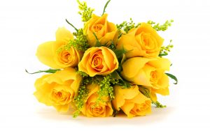 28-02-17-bunch-yellow-roses10921