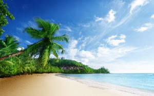Background-Tropical-Beach-Wallpaper