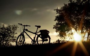 Bicycle-At-Sunset-Picture-For-Windows