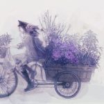 Bicycle-Flower-Delivery-Wallpaper