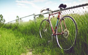 Bicycle-On-The-Farm-Hd-Desktop