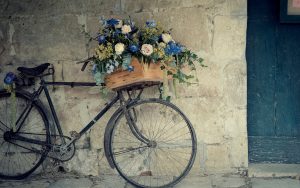 Bicycle-With-Flower-Hd-Wallpaper