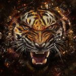 24-02-17-tiger-wallpapers951