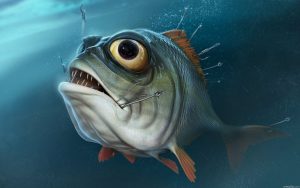 26-02-17-piranha-fish17998