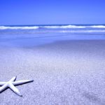 26-02-17-starfish-beach-photography15939