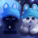 27-02-17-cute-twin-cats12072