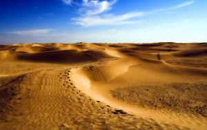 27-02-17-desert-landscape8761