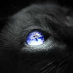 27-02-17-earth-cat-eye15688