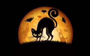 27-02-17-halloween-cat-art13916