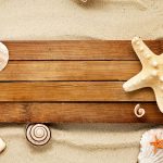 27-02-17-sand-shells-snail-starfish-beach17517