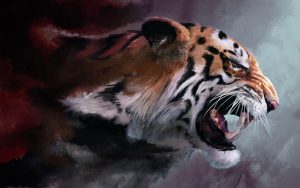 28-02-17-tiger-wallpapers948