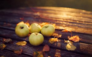 ---apples-leaves-autumn-evening-2152