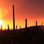 ---arizona-sunset-13317