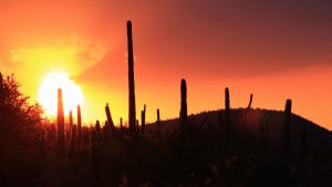 ---arizona-sunset-13317