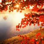 ---autumn-lake-6769