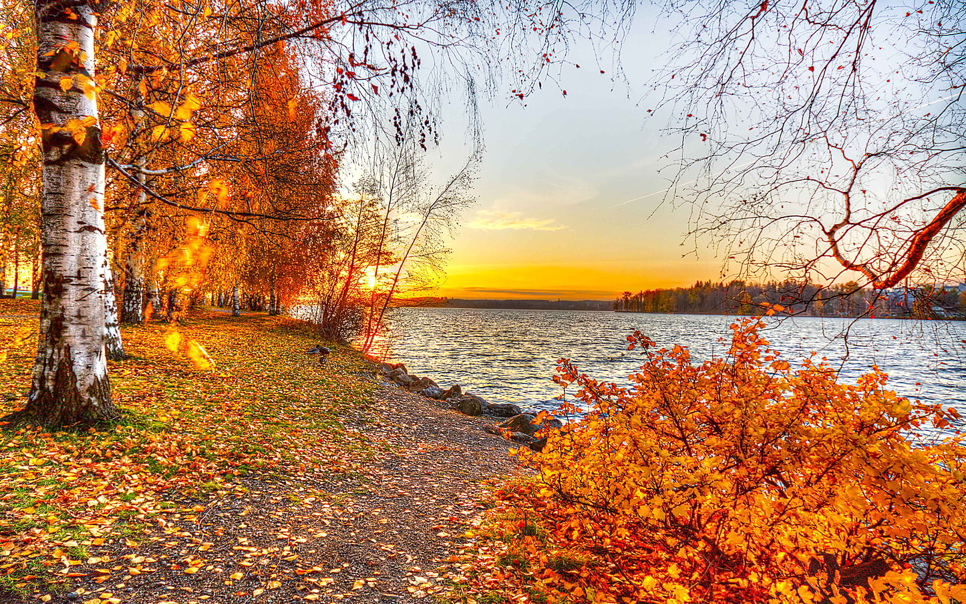 BỘ ẢNH ĐẸP MÙA THU, HOÀNG HÔN TRÊN THẾ GIỚI Autumn-lake-sunset-6767