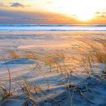 ---beach-sand-sunset-6967