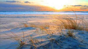---beach-sand-sunset-6967