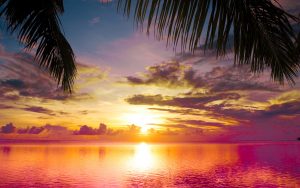 ---beach-sunset-6986