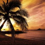 ---beach-sunset-background-13504