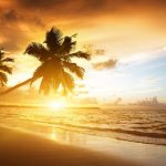 ---beach-sunset-backgrounds-6977