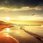 Birds Over A Beach At Sunset HD Desktop Background