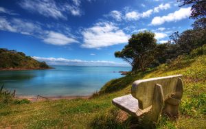 ---bench-lake-shore-2558