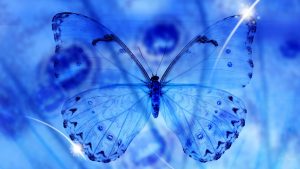 ---blue-butterfly-13789