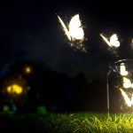 ---butterfly-wallpapers-833