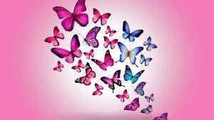 ---butterfly-wallpapers-838