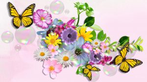 ---butterfly-wallpapers-839