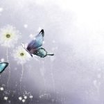 ---butterfly-wallpapers-840